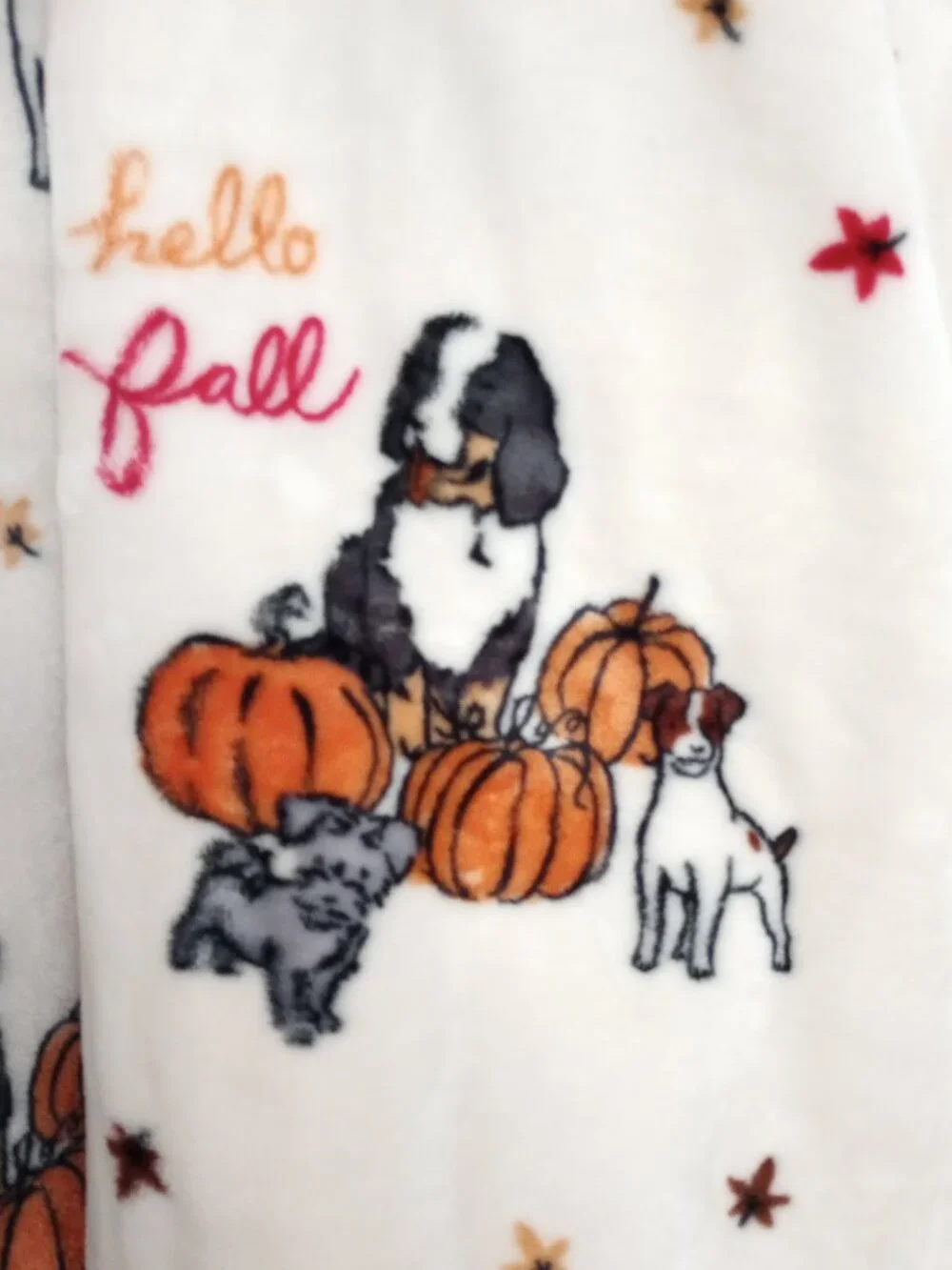 Ellen Degeneres Hello Fall Ultra Plush Soft Dog Motif Throw